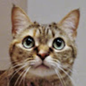 Meet your Posher, Rosemary